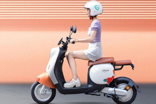 才知道,現在買電動車,哪些資質缺一不可 什么價位性價比更高